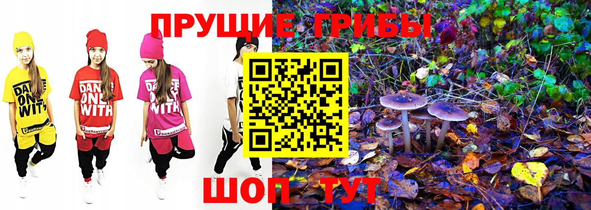 Галлюциногенные грибы прущие грибы  Псилоцибиновые грибы ЛСД  Новочеркасск  Вход с VPN 