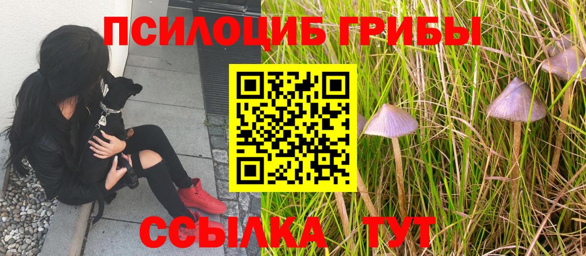 Галлюциногенные грибы Magic Shrooms Новочеркасск